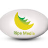 Custom regulation size logo photo rugby balls